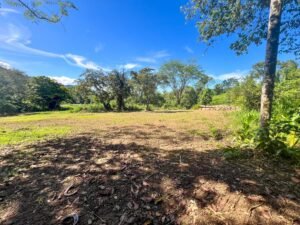 170010 – Lot 10 Caracara Ridge 07
