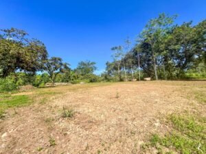170010 – Lot 10 Caracara Ridge 08