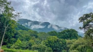 170010 – Lot 10 Caracara Ridge 10