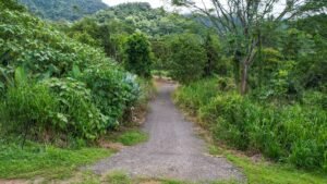 170010 – Lot 10 Caracara Ridge 12
