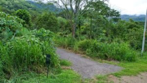 170010 – Lot 10 Caracara Ridge 13