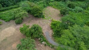 170011 – Lot 11 Caracara Ridge 01
