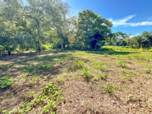 170011 – Lot 11 Caracara Ridge 02