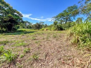 170011 – Lot 11 Caracara Ridge 03