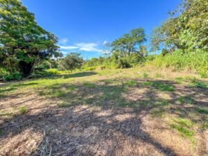 170011 – Lot 11 Caracara Ridge 04
