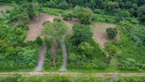 170011 – Lot 11 Caracara Ridge 05