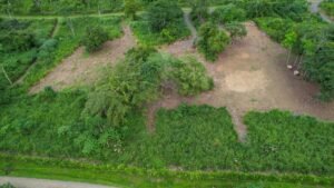 170011 – Lot 11 Caracara Ridge 06