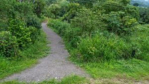 170011 – Lot 11 Caracara Ridge 07