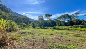 170012 – Lot 12 Caracara Ridge 01
