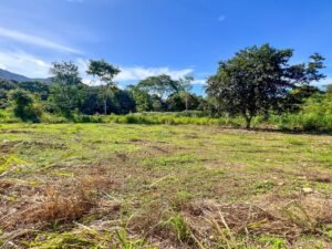 170012 – Lot 12 Caracara Ridge 02