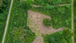 170012 – Lot 12 Caracara Ridge 03