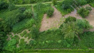 170012 – Lot 12 Caracara Ridge 04