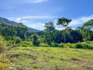170012 – Lot 12 Caracara Ridge 05