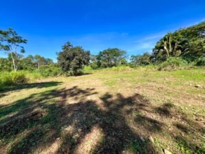 170012 – Lot 12 Caracara Ridge 07