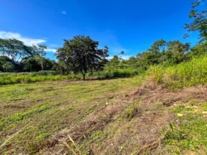 170012 – Lot 12 Caracara Ridge 08