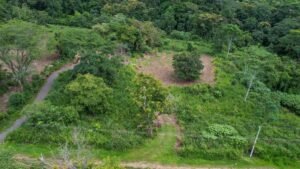 170012 – Lot 12 Caracara Ridge 09