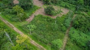 170012 – Lot 12 Caracara Ridge 10