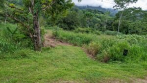 170012 – Lot 12 Caracara Ridge 11