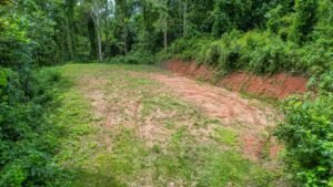 170015 – Lot 15 Caracara Ridge 01