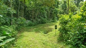 170015 – Lot 15 Caracara Ridge 02