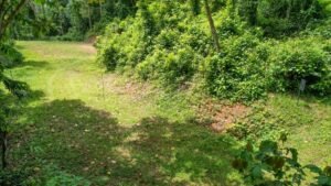 170015 – Lot 15 Caracara Ridge 03
