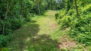 170015 – Lot 15 Caracara Ridge 04