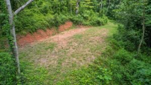 170015 – Lot 15 Caracara Ridge 05