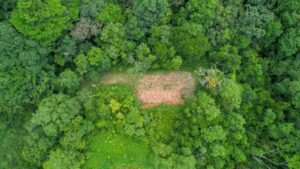 170015 – Lot 15 Caracara Ridge 06