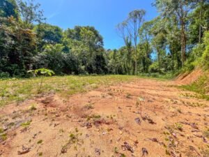 170015 – Lot 15 Caracara Ridge 08