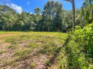 170015 – Lot 15 Caracara Ridge 09