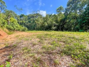 170015 – Lot 15 Caracara Ridge 10