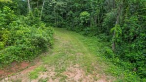170015 – Lot 15 Caracara Ridge 11