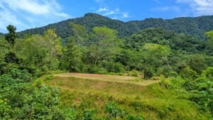 170022 – Lot 22 Caracara Ridge 01