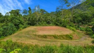 170022 – Lot 22 Caracara Ridge 02