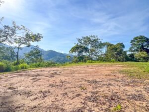 170022 – Lot 22 Caracara Ridge 03