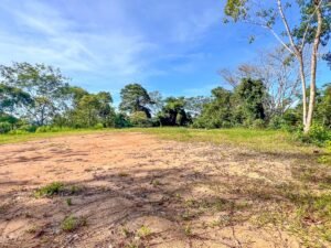 170022 – Lot 22 Caracara Ridge 05