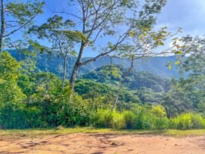 170022 – Lot 22 Caracara Ridge 06