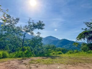 170022 – Lot 22 Caracara Ridge 07