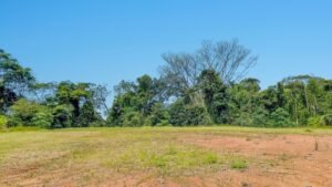 170022 – Lot 22 Caracara Ridge 08