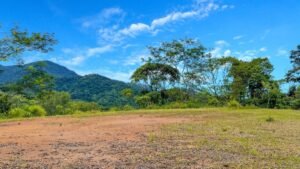 170022 – Lot 22 Caracara Ridge 09