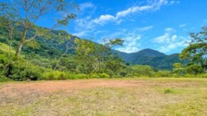 170022 – Lot 22 Caracara Ridge 10