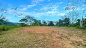 170022 – Lot 22 Caracara Ridge 11