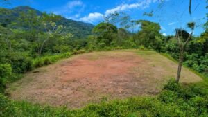 170022 – Lot 22 Caracara Ridge 12