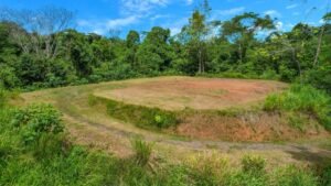 170022 – Lot 22 Caracara Ridge 13