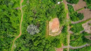 170022 – Lot 22 Caracara Ridge 15