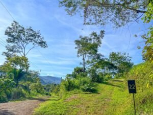 170022 – Lot 22 Caracara Ridge 16