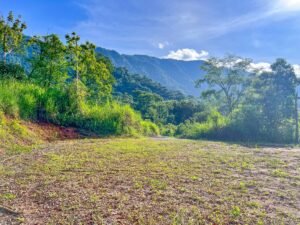 170023 – Lot 23 Caracara Ridge 01