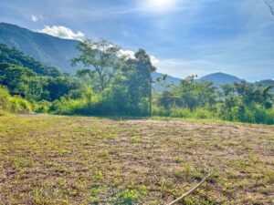170023 – Lot 23 Caracara Ridge 02