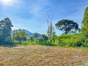 170023 – Lot 23 Caracara Ridge 03