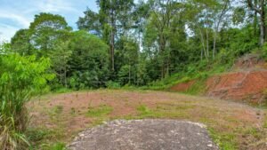 170023 – Lot 23 Caracara Ridge 05